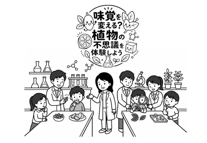 安元研究室
