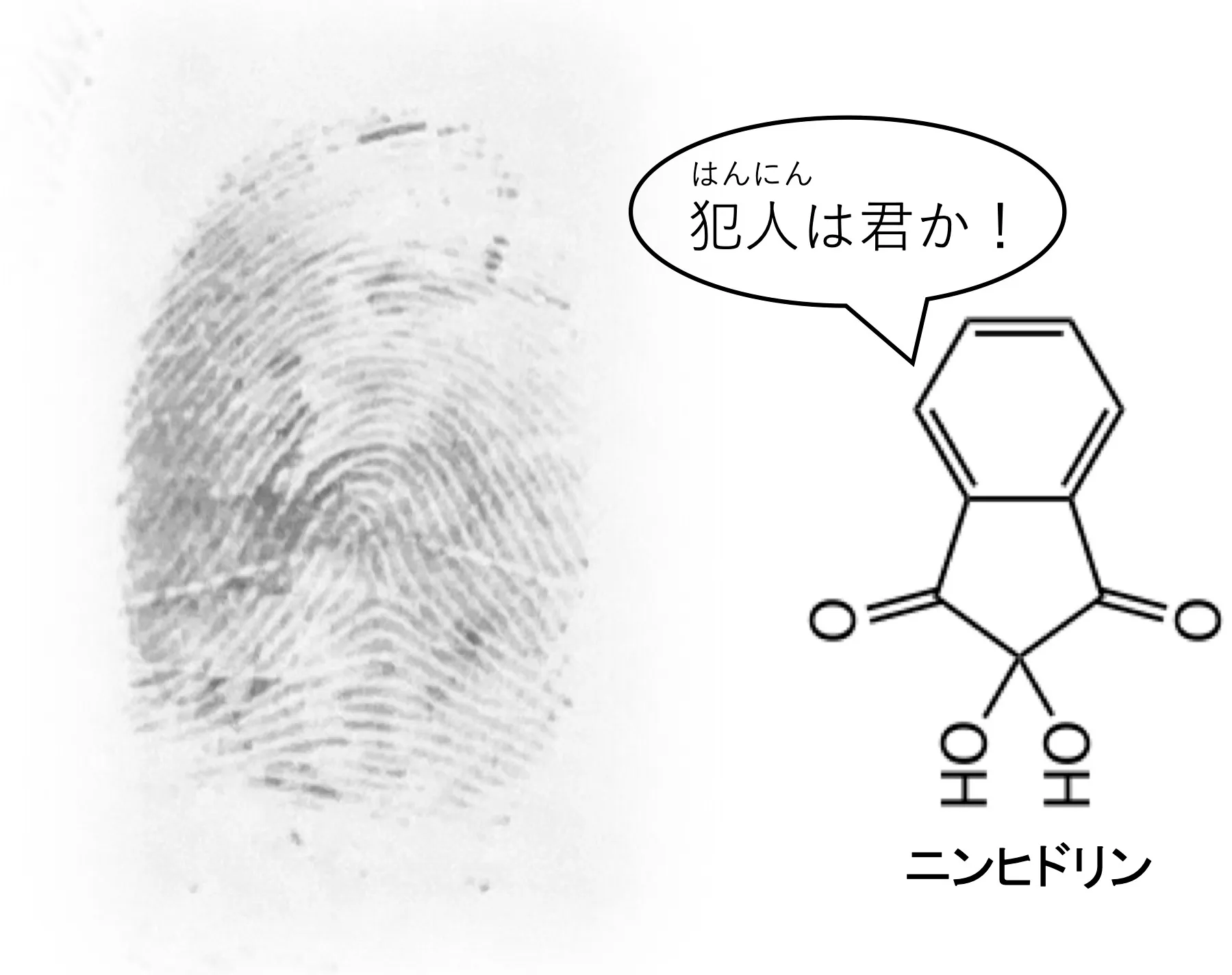 白石研究室