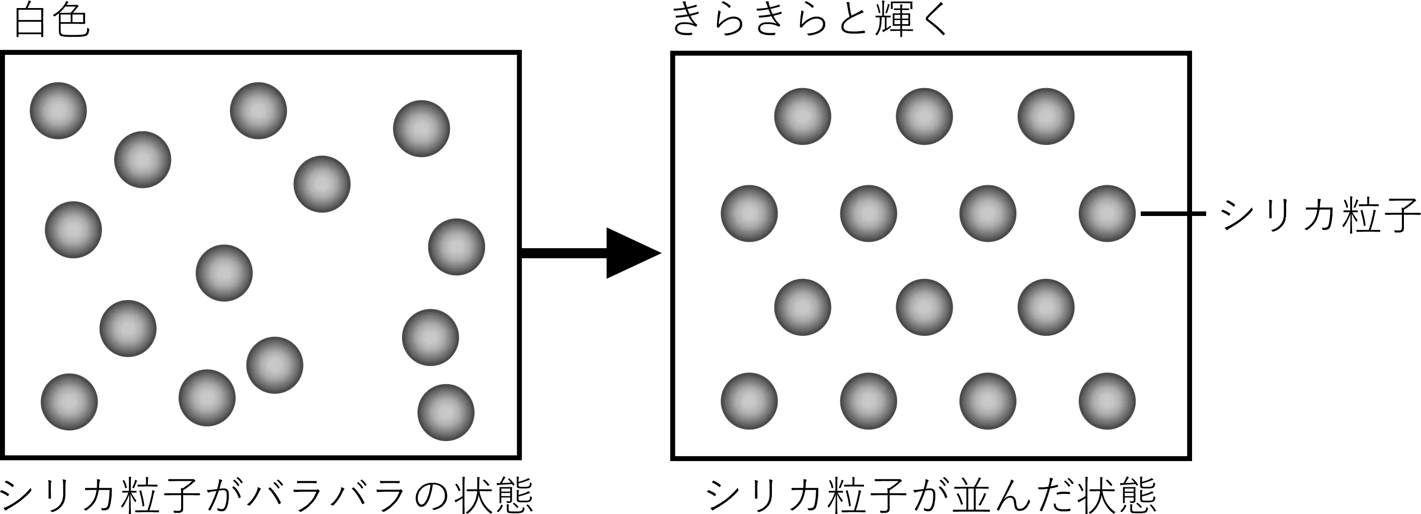 伊村研究室