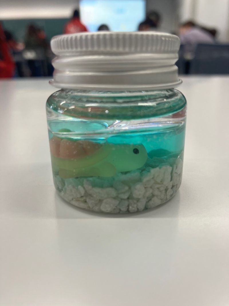 フォト実験部署