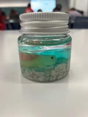 フォト実験部署の画像